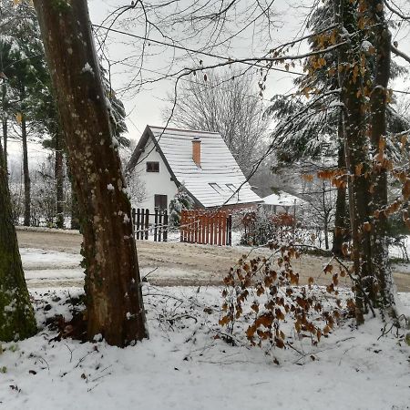 Carobna Suma *** Vila Karlovac Exterior foto